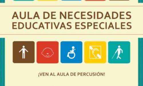 Diferentes capacidades..mismo lenguaje: LA MÚSICA