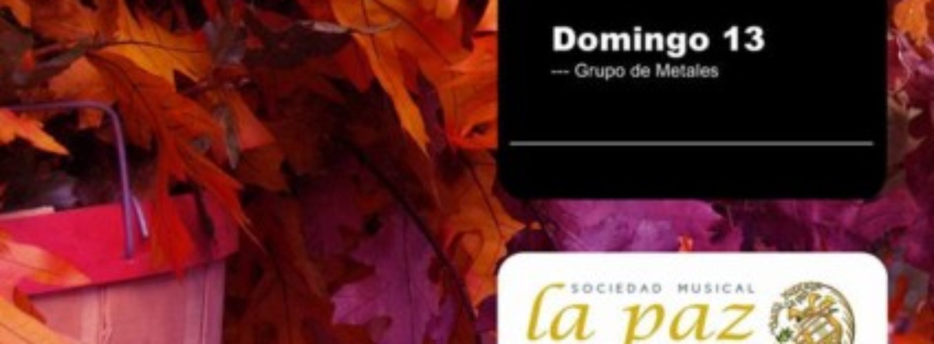 Pel novembre, llaura i sembra. XVII Ciclo de Conciertos de Música de Cámara.