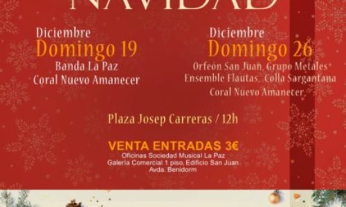 Concierto de Navidad a beneficio de CEAR.